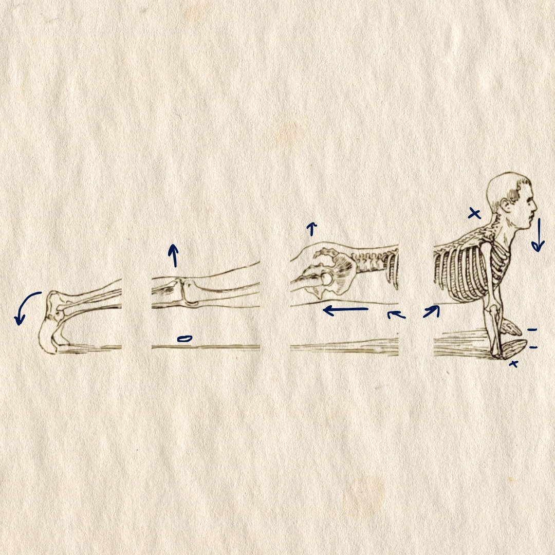 stones from gall bladder