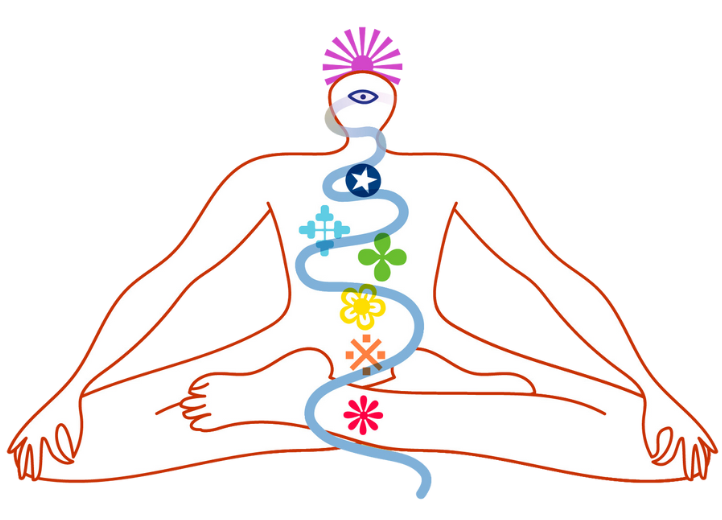 LeeAnn Meitner - Classical Hatha Yoga Teacher